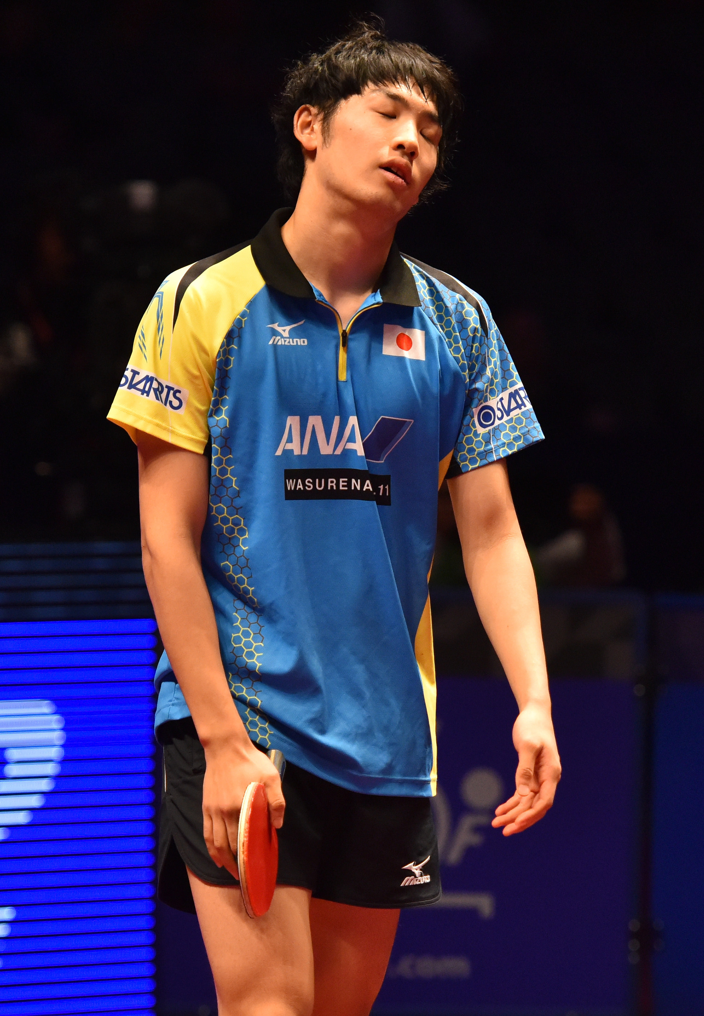 包含奥地利乒乓球队强势德国乒乓球队，许昕惊艳世界的词条