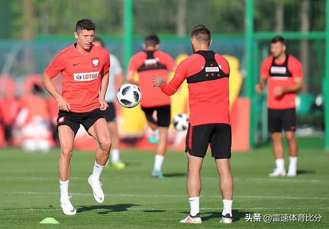 关于斯洛伐克战胜波兰,小组出线形势大好的信息 关于斯洛伐克战胜波兰,小组出线形势大好的信息