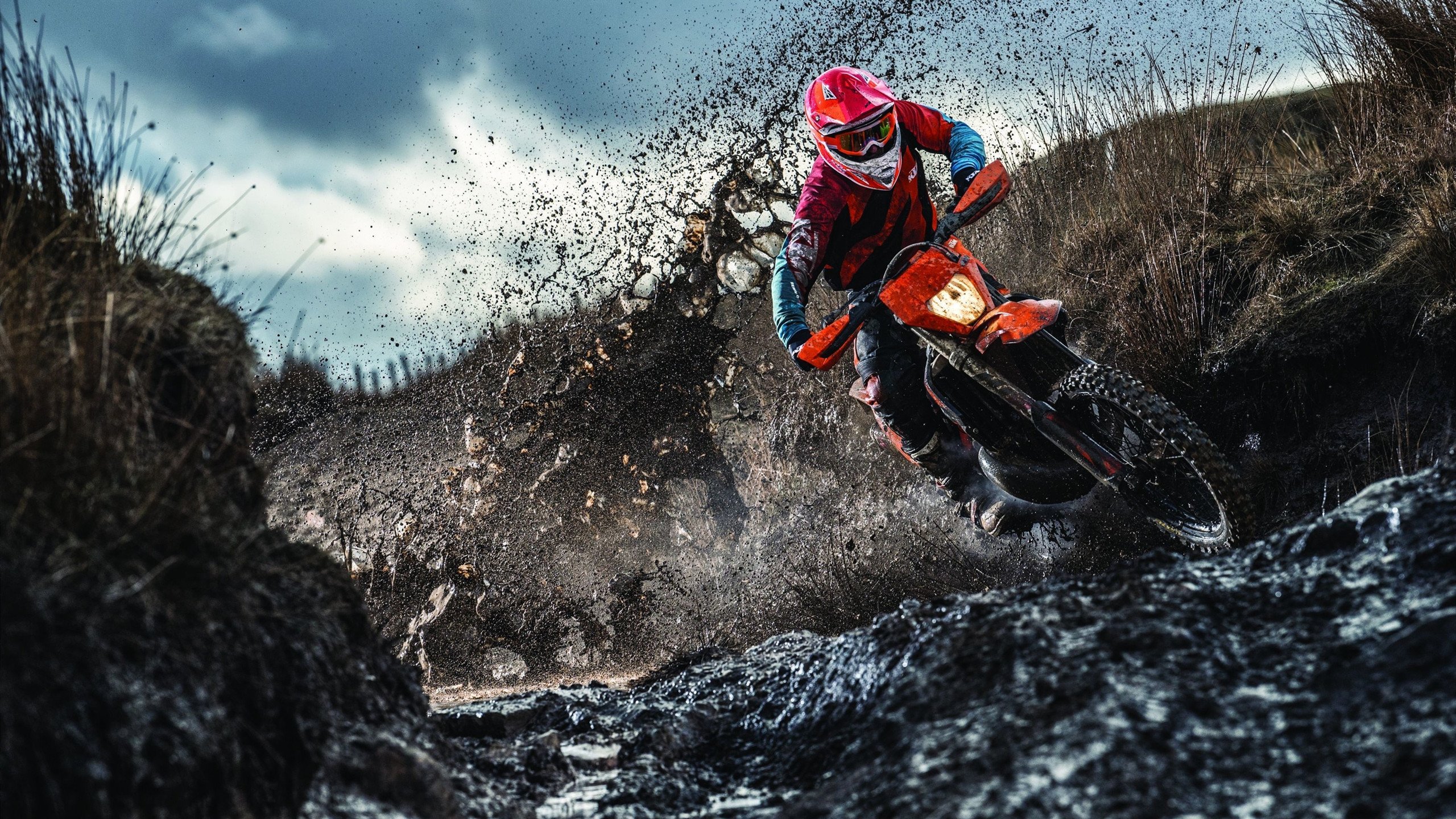 瑞士铁闸锁死斑马，格鲁吉亚旋风接管欧冠